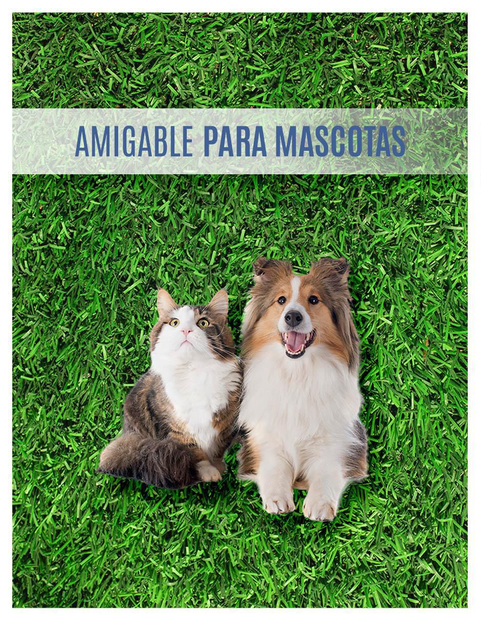 Pasto sintético 6